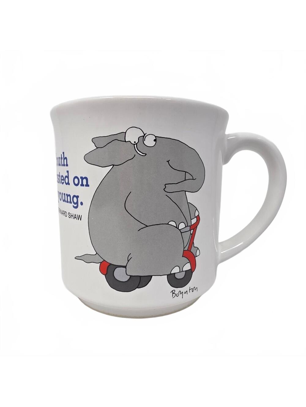 Vintage Sandra Boynton Mug Youth Is Wasted on the Young Elephant Box